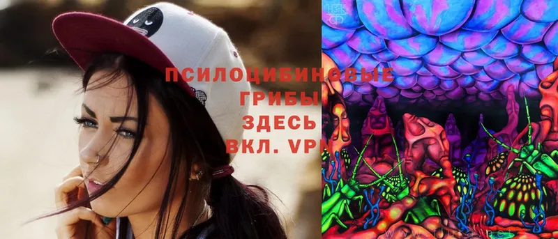 Галлюциногенные грибы MAGIC MUSHROOMS  Демидов 